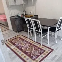 Pamko, hotel en Naryn