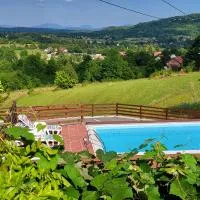 Vila Lisina, Hotel in Selište Drežničko