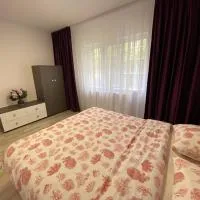 Grove Apartment, хотел в Бузау