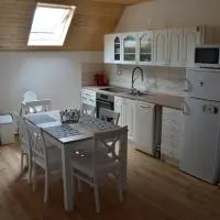 Horský apartmán Pod Zelenou Střechou، فندق في Bartošovice v Orlických Horách