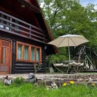 Cabana Paulina, ξενοδοχείο σε Chişcău