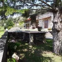 Casa De Crespins Casa de Campo Lda, hotel en Cristelo