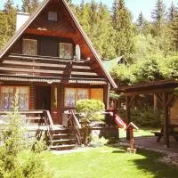 Chata Vysočina, hotel a Svratouch