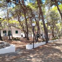 Villaggio Internazionale Punta del Diamante, hotel poblíž San Domino Island Heliport - TQR, San Domino