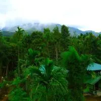 Shibi's Tea Garden Heritage, hotelli kohteessa Vayittiri