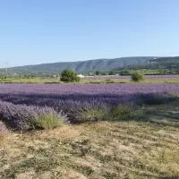 CABANE perchée dans les arbres โรงแรมในRobion en Luberon