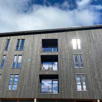 New apartment, Gausta in Rjukan. Ski in/ ski out, hotell i Rjukan