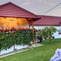 Holiday Home Rojko, מלון בŠtrigova