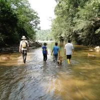 Grand Selva Lodge & Tours, viešbutis mieste Tena
