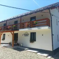 Pensiunea Teodora, hotel em Moisei