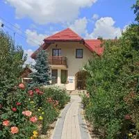 Agropensiunea Florina-Maria: Braniştea şehrinde bir otel
