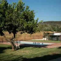 아브란트스에 위치한 호텔 Quinta de SantAna da Várzea