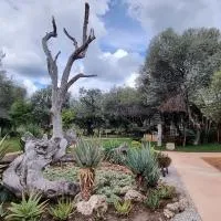 Olienhoff Guesthouse and Rest Camp, hotell sihtkohas Otavi