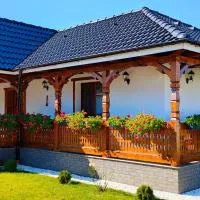 Viesnīca Casa Vasu pilsētā Rîciu