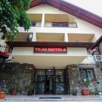 Teju Hotels, hótel í Slănic