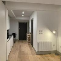 NEW BUILD 1Bed Studio Serviced Apartment Free WIFI & NETFLIX Whitechapel London Perfect for Solo & Coupled Guests!