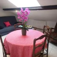 Appartement en location touristique pour 4 personnes，Docelles的飯店