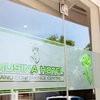 Musina Hotel, hotel din Musina