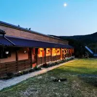 Casa Borcean 2，薩斯卡蒙塔納的飯店