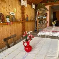 Viki house, hotel u gradu Hurez