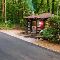 Log Cabin Motor Court, מלון באשוויל