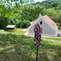 Kosbor Vendégház, hotel di Monoszló