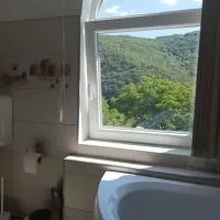 Casa Victoria Anina, hotel v destinaci Anina