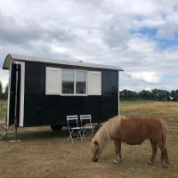 Boerderij de Flesse Wenum Wiesel Pipowagen Hanna