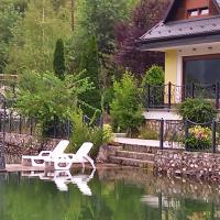 Villa Drinski biser sa bazenom