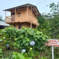 Finca Fuente de Vida، فندق في إستيلي