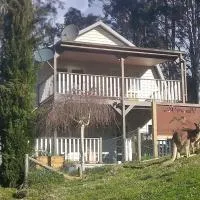 Pinnacle View Lodge or Treetops Lockoff Apartment in Merrijig at base of Mt Buller، فندق في ميريجيغ
