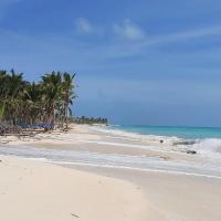 Playa virgen en Cancún