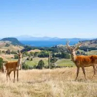 Hilltop Whakaipo Estate, hotelli kohteessa Taupo