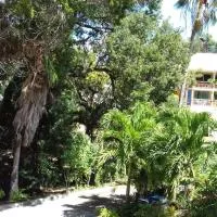 Studio Le Balisier, hotel en Caritan