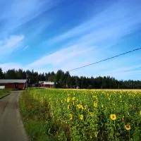 Maatilamatkailu Ilomäki โรงแรมในPeräseinäjoki