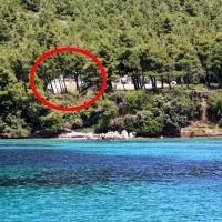Apartments by the sea Zuljana, Peljesac - 10233, hotel sa Žuljana