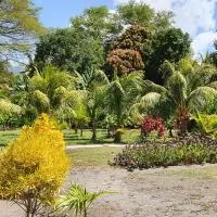 Rancho Tranquillo, hotel v destinácii Moyogalpa