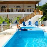 Cosmopolitan Guesthouse, ξενοδοχείο σε Hopkins