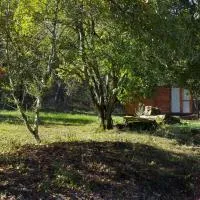 Agricampeggio Madonna di Pogi, hotel din Bucine