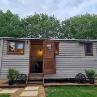 The Owls Rest Shepherds Hut Hethel、ノリッジのホテル