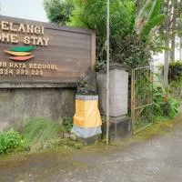 Pelangi Homestay Bedugul RedPartner, Hotel in Bedugul
