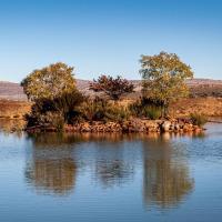 Rooilande Guest Farm