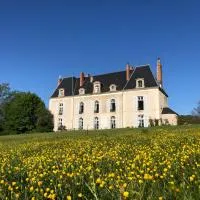 Château de Vaux Morvan، فندق في Étang-sur-Arroux
