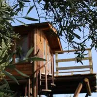 The Treehouse - Casa sull'albero al Golden Camp, hotel em Falerna