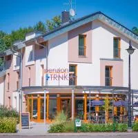 Penzion Trnka, hotel v mestu Potštejn