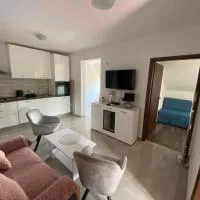 Sobra में, होटल GUESTHOUSE RUZA SOBRA apartments in the attic of the house
