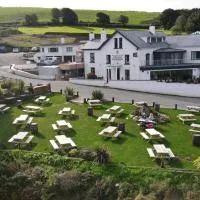 The Teifi Waterside Hotel, хотел в Кардиган