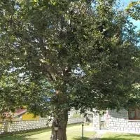Il Faggio, hotel en Beura