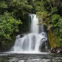 Blackfern Lodge: Waimiha şehrinde bir otel