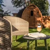 Remigija Studio Home, отель в Ионаве